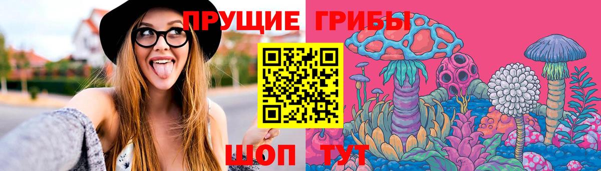 Псилоцибиновые грибы Psilocybe Севастополь